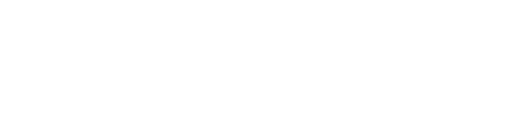 Pittman Logo White
